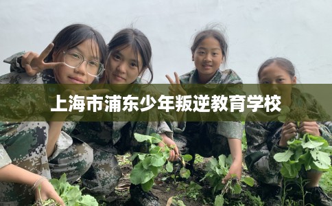 上海市浦东少年叛逆教育学校