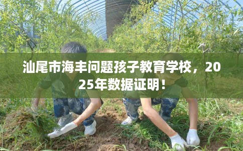 汕尾市海丰问题孩子教育学校，2025年数据证明！