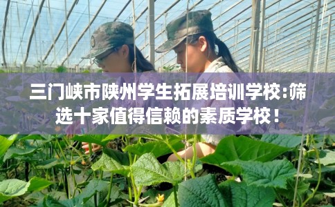三门峡市陕州学生拓展培训学校:筛选十家值得信赖的素质学校！