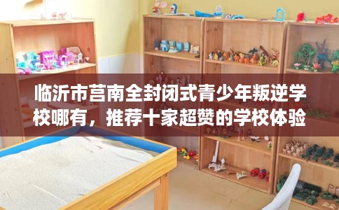 临沂市莒南全封闭式青少年叛逆学校哪有，推荐十家超赞的学校体验！