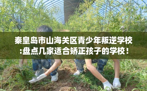 秦皇岛市山海关区青少年叛逆学校:盘点几家适合矫正孩子的学校! 秦皇岛市山海关区青少年叛逆学校:盘点几家适合矫正孩子的学校!