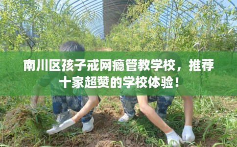 南川区孩子戒网瘾管教学校，推荐十家超赞的学校体验！