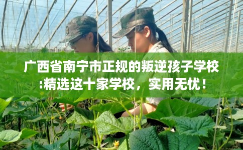 广西省南宁市正规的叛逆孩子学校:精选这十家学校，实用无忧！