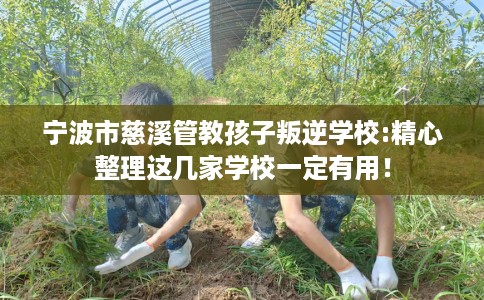 宁波市慈溪管教孩子叛逆学校:精心整理这几家学校一定有用! 宁波市慈溪管教孩子叛逆学校:精心整理这几家学校一定有用!
