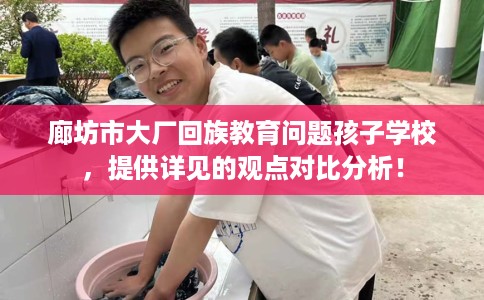 廊坊市大厂回族教育问题孩子学校，提供详见的观点对比分析！