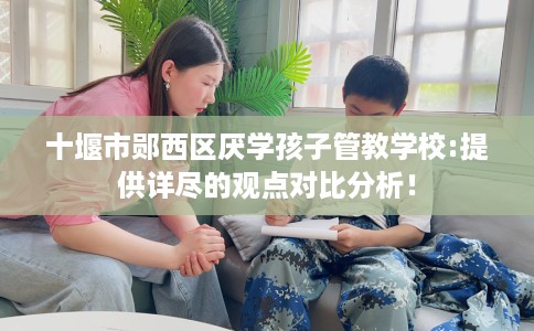 十堰市郧西区厌学孩子管教学校:提供详尽的观点对比分析！