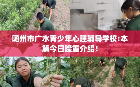随州市广水青少年心理辅导学校:本篇今日隆重介绍！