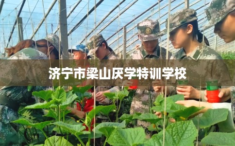 济宁市梁山厌学特训学校 济宁市梁山厌学特训学校