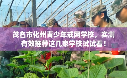 茂名市化州青少年戒网学校,实测有效推荐这几家学校试试看! 茂名市化州青少年戒网学校,实测有效推荐这几家学校试试看!