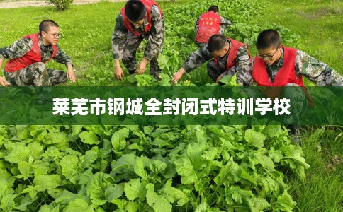 莱芜市钢城全封闭式特训学校
