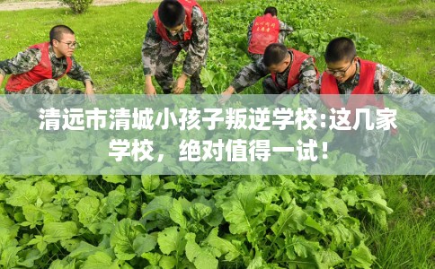 清远市清城小孩子叛逆学校:这几家学校，绝对值得一试！