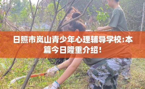 日照市岚山青少年心理辅导学校:本篇今日隆重介绍！