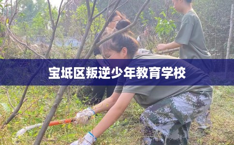 宝坻区叛逆少年教育学校 宝坻区叛逆少年教育学校
