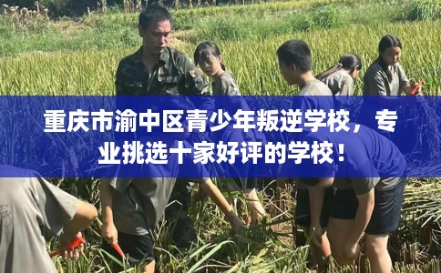 重庆市渝中区青少年叛逆学校,专业挑选十家好评的学校! 重庆市渝中区青少年叛逆学校,专业挑选十家好评的学校!