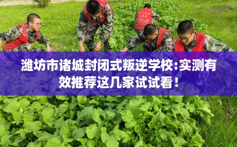 潍坊市诸城封闭式叛逆学校:实测有效推荐这几家试试看！