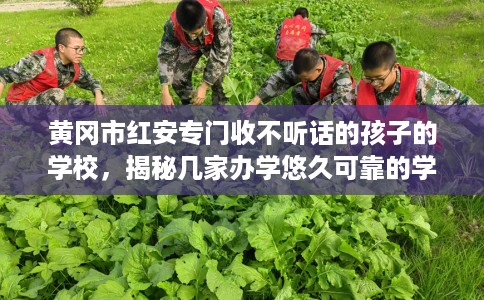 黄冈市红安专门收不听话的孩子的学校，揭秘几家办学悠久可靠的学校！