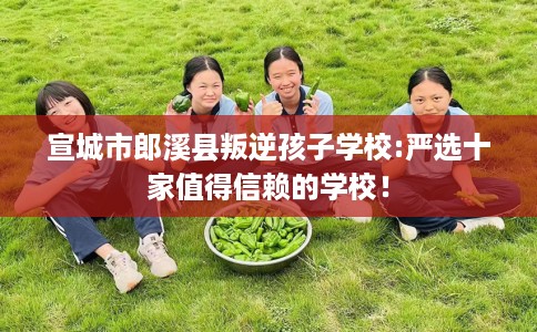 宣城市郎溪县叛逆孩子学校:严选十家值得信赖的学校！