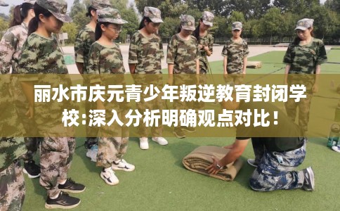 丽水市庆元青少年叛逆教育封闭学校:深入分析明确观点对比！