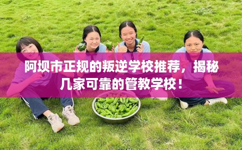 阿坝市正规的叛逆学校推荐，揭秘几家可靠的管教学校！