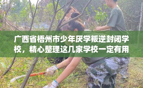 广西省梧州市少年厌学叛逆封闭学校,精心整理这几家学校一定有用! 广西省梧州市少年厌学叛逆封闭学校,精心整理这几家学校一定有用!
