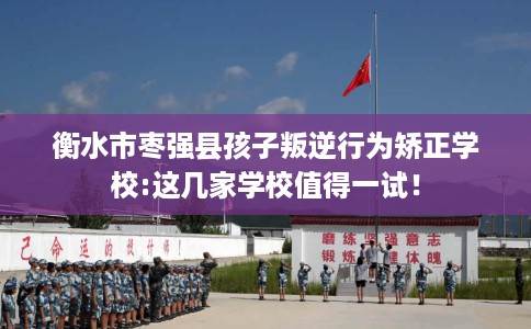 衡水市枣强县孩子叛逆行为矫正学校:这几家学校值得一试! 衡水市枣强县孩子叛逆行为矫正学校:这几家学校值得一试!