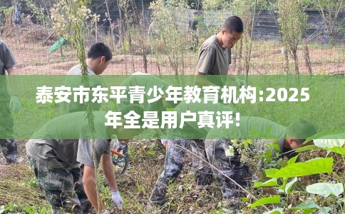 泰安市东平青少年教育机构:2025年全是用户真评!