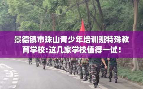 景德镇市珠山青少年培训班特殊教育学校:这几家学校值得一试！