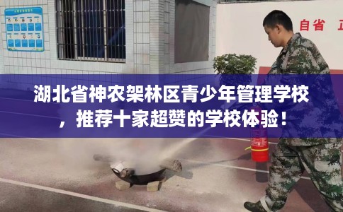 湖北省神农架林区青少年管理学校，推荐十家超赞的学校体验！