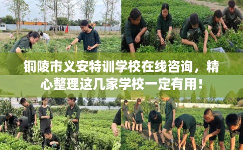铜陵市义安特训学校在线咨询，精心整理这几家学校一定有用！