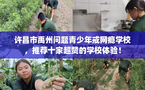 许昌市禹州问题青少年戒网瘾学校，推荐十家超赞的学校体验！