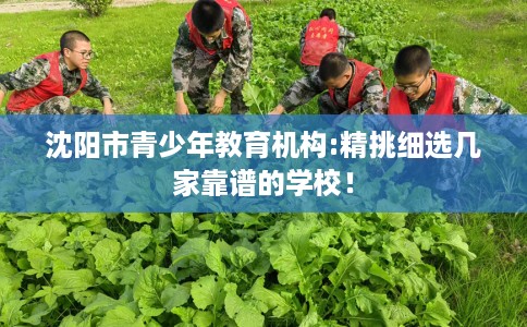 沈阳市青少年教育机构:精挑细选几家靠谱的学校! 沈阳市青少年教育机构:精挑细选几家靠谱的学校!