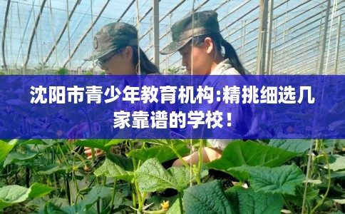 沈阳市青少年教育机构:精挑细选几家靠谱的学校! 沈阳市青少年教育机构:精挑细选几家靠谱的学校!