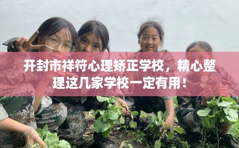 开封市祥符心理矫正学校,精心整理这几家学校一定有用! 开封市祥符心理矫正学校,精心整理这几家学校一定有用!