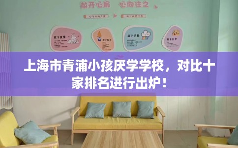 上海市青浦小孩厌学学校，对比十家排名进行出炉！