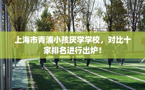 上海市青浦小孩厌学学校，对比十家排名进行出炉！