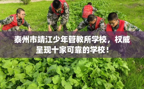 泰州市靖江少年管教所学校，权威呈现十家可靠的学校！
