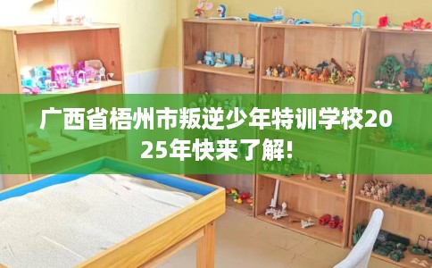 广西省梧州市叛逆少年特训学校2025年快来了解!