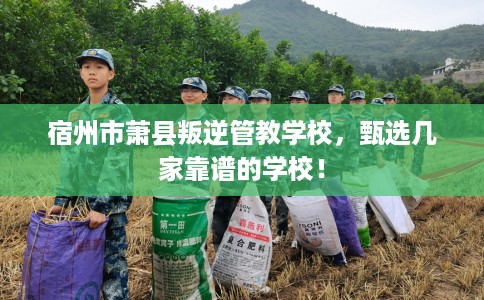 宿州市萧县叛逆管教学校，甄选几家靠谱的学校！