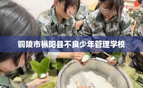 铜陵市枞阳县不良少年管理学校