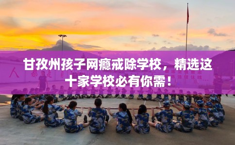 甘孜州孩子网瘾戒除学校，精选这十家学校必有你需！