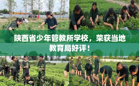 陕西省少年管教所学校，荣获当地教育局好评！