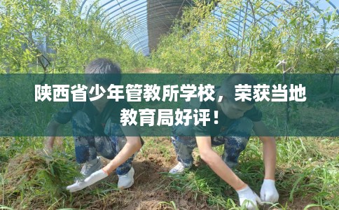 陕西省少年管教所学校，荣获当地教育局好评！