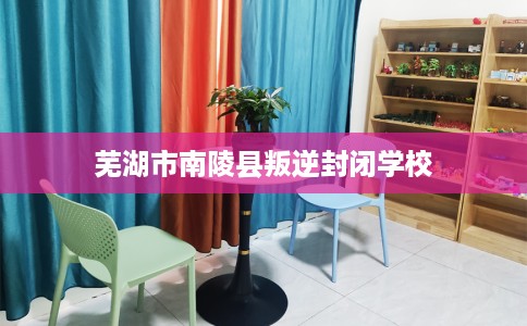 芜湖市南陵县叛逆封闭学校