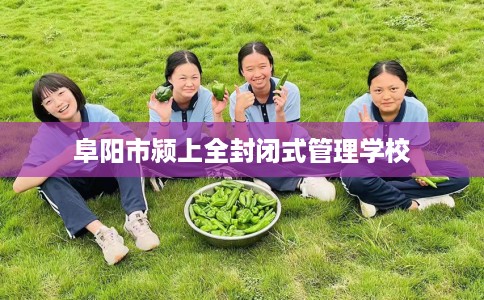 阜阳市颍上全封闭式管理学校