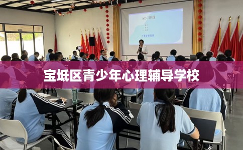 宝坻区青少年心理辅导学校
