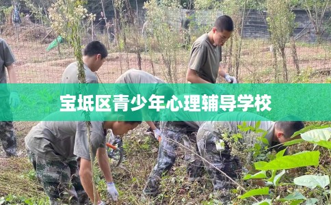 宝坻区青少年心理辅导学校