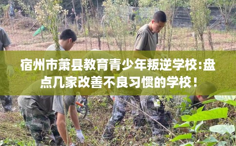 宿州市萧县教育青少年叛逆学校:盘点几家改善不良习惯的学校！