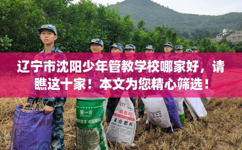 辽宁市沈阳少年管教学校哪家好，请瞧这十家！本文为您精心筛选！