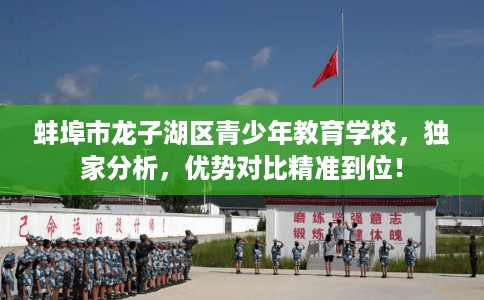 蚌埠市龙子湖区青少年教育学校，独家分析，优势对比精准到位！