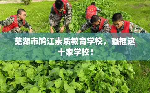 芜湖市鸠江素质教育学校,强推这十家学校! 芜湖市鸠江素质教育学校,强推这十家学校!